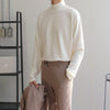 Men's Casual Velvet Turtleneck Sweater