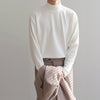 Men's Casual Velvet Turtleneck Sweater